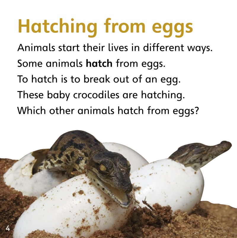 How Do Animals Change? — page 1