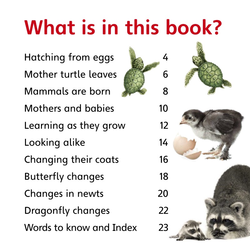 How Do Animals Change? book cover