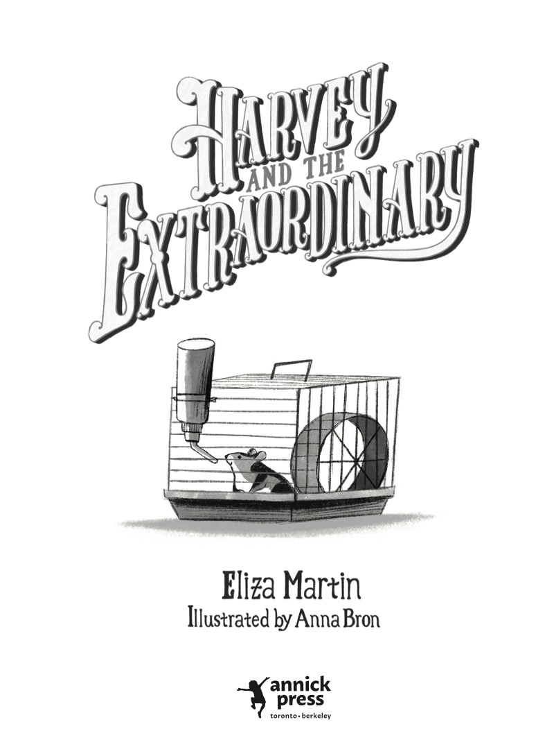 Harvey and the Extraordinary book cover