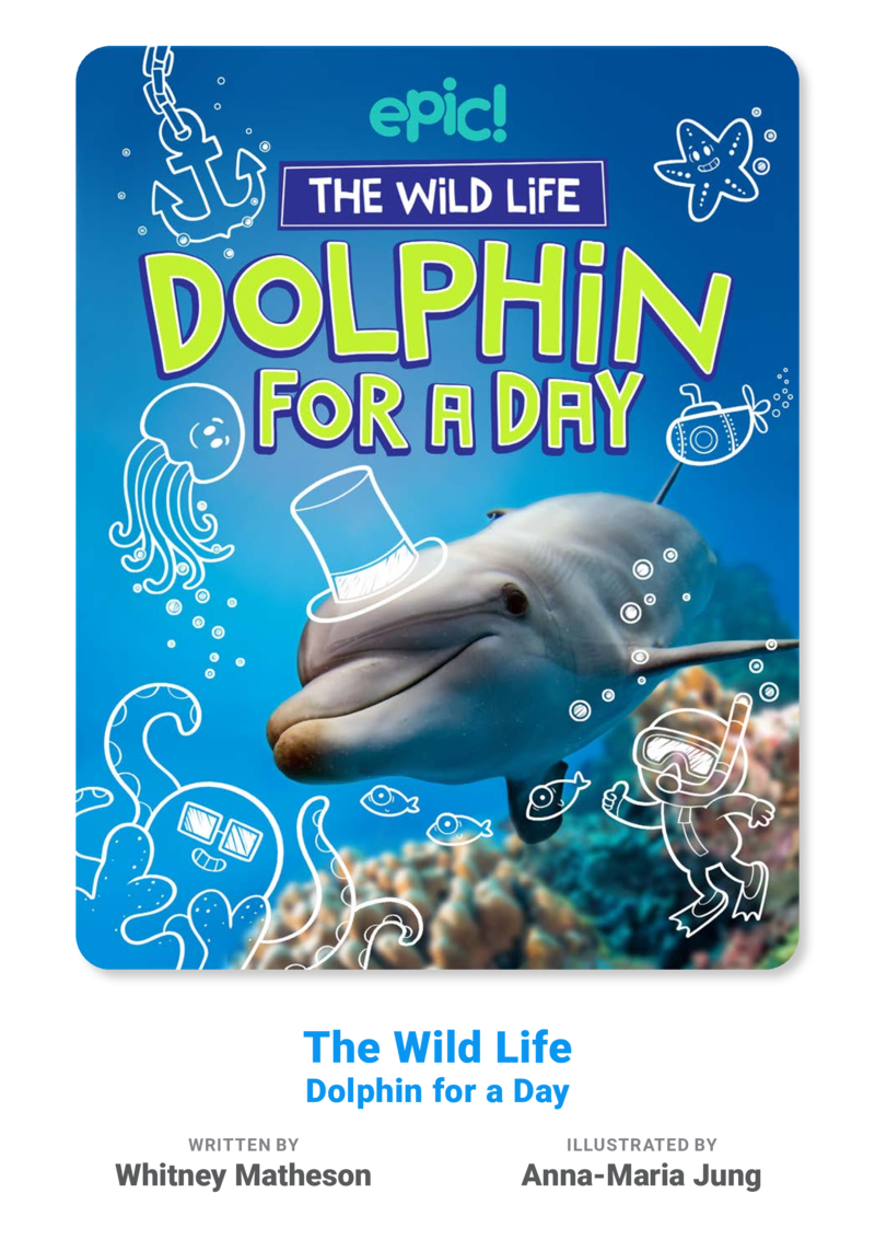 The Wild Life: Dolphin for a Day book cover