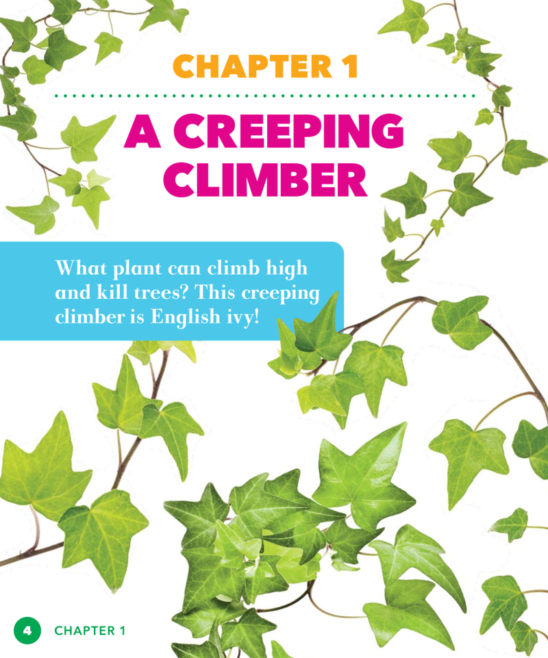 Invasive Species: English Ivy — page 1