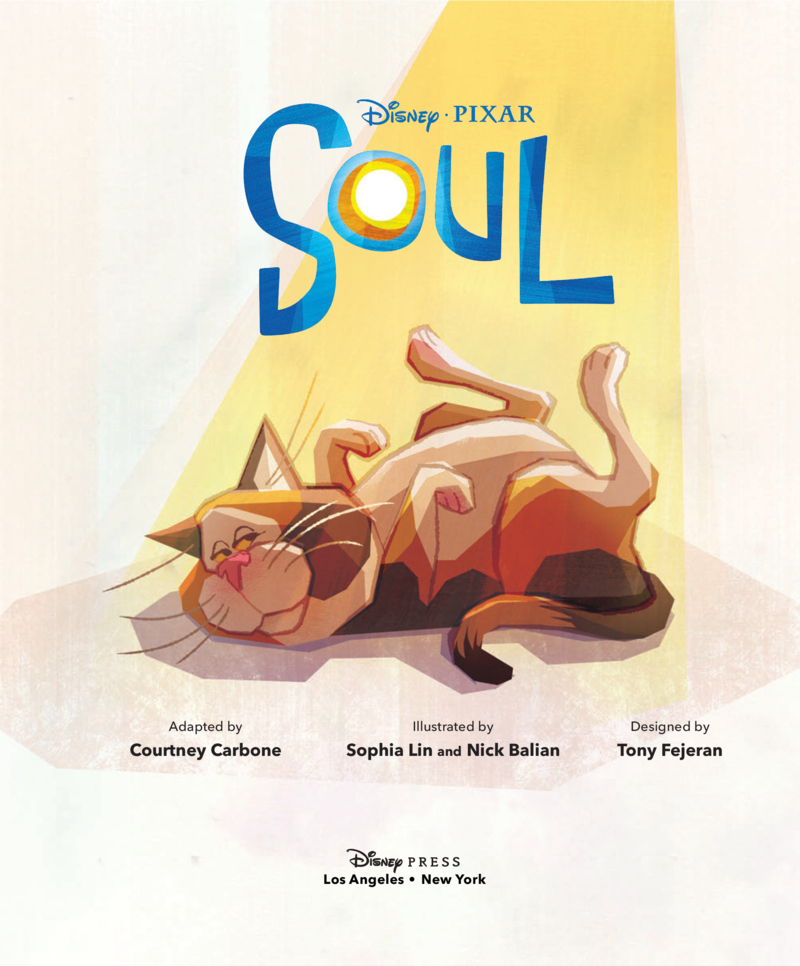 Soul book cover