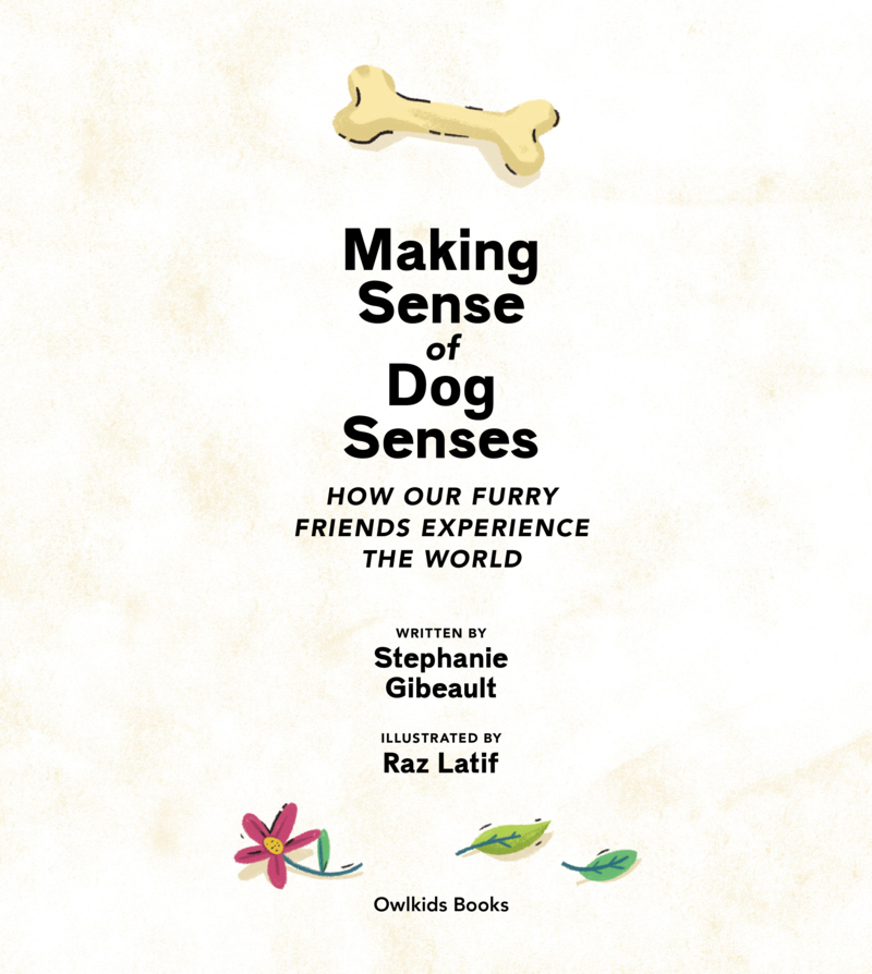 Making Sense of Dog Senses book cover