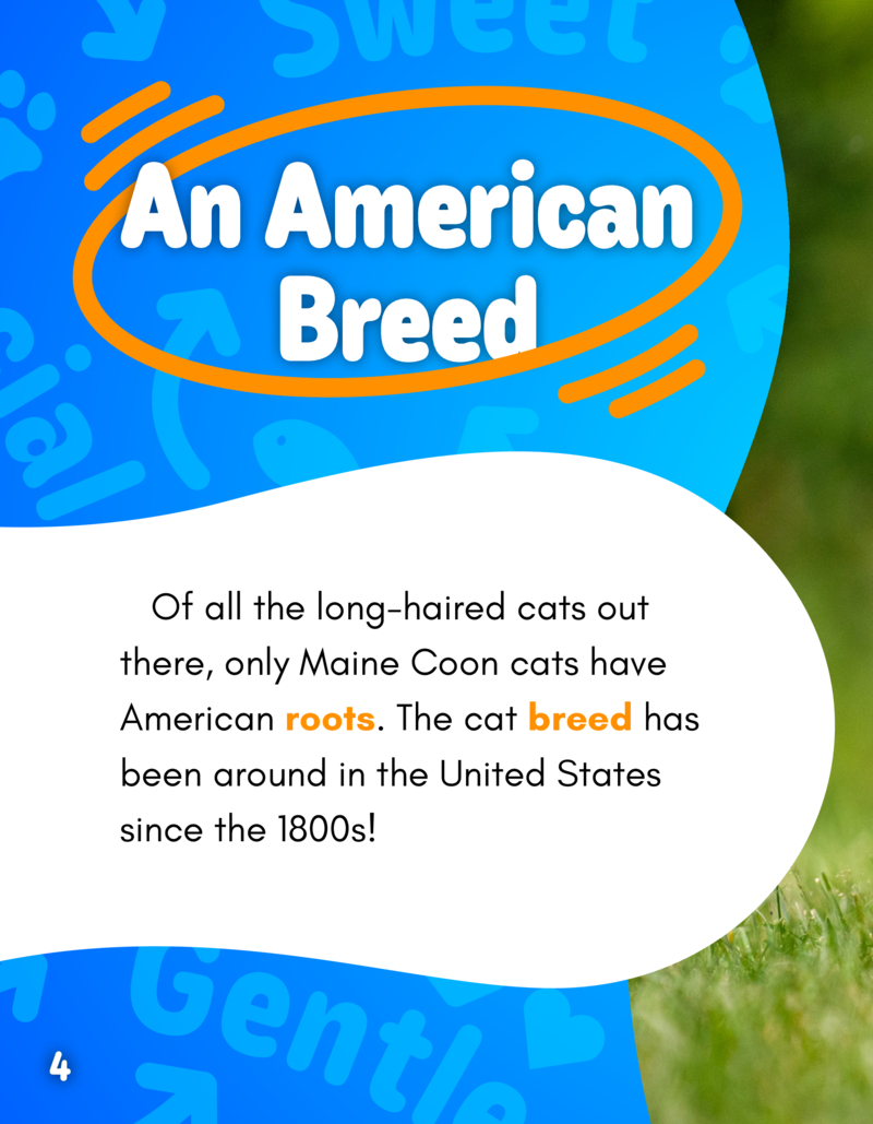 Hello Kitty Cats! Maine Coons — page 1