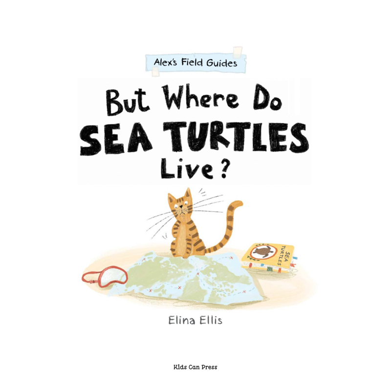 But Where Do Sea Turtles Live? book cover