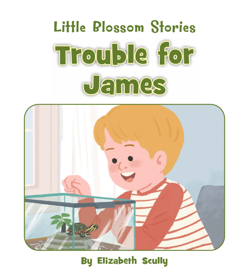 Trouble for James book cover