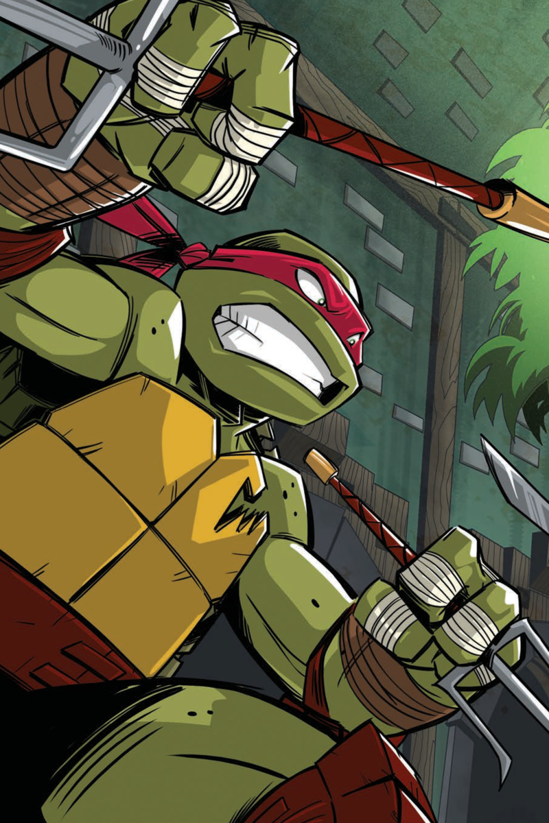 Teenage Mutant Ninja Turtles: Double-Team! — page 1