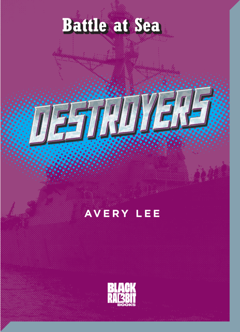 Destroyers book cover