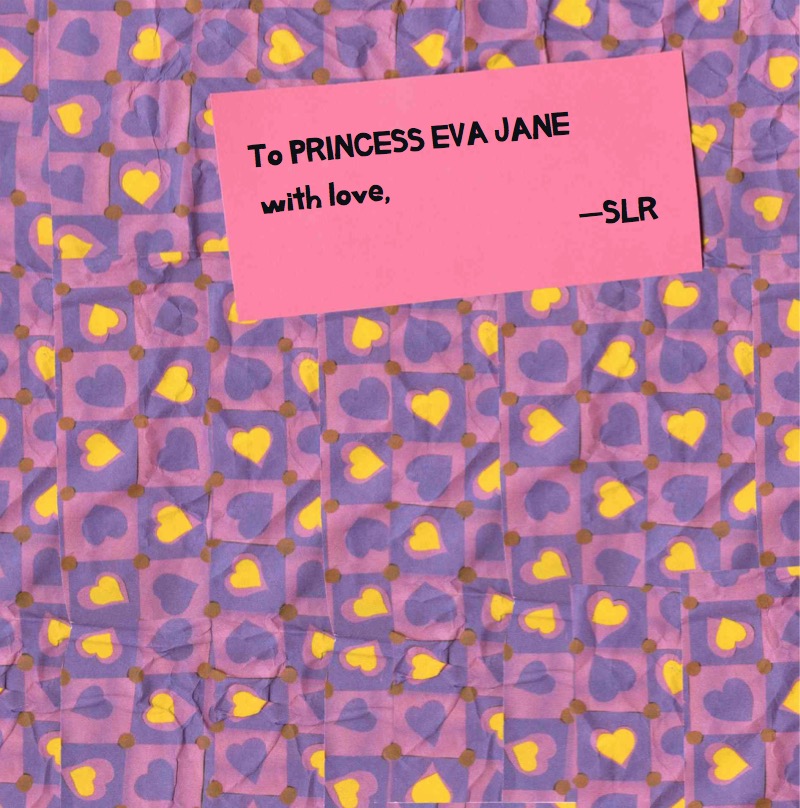 Princess At The Ball book cover