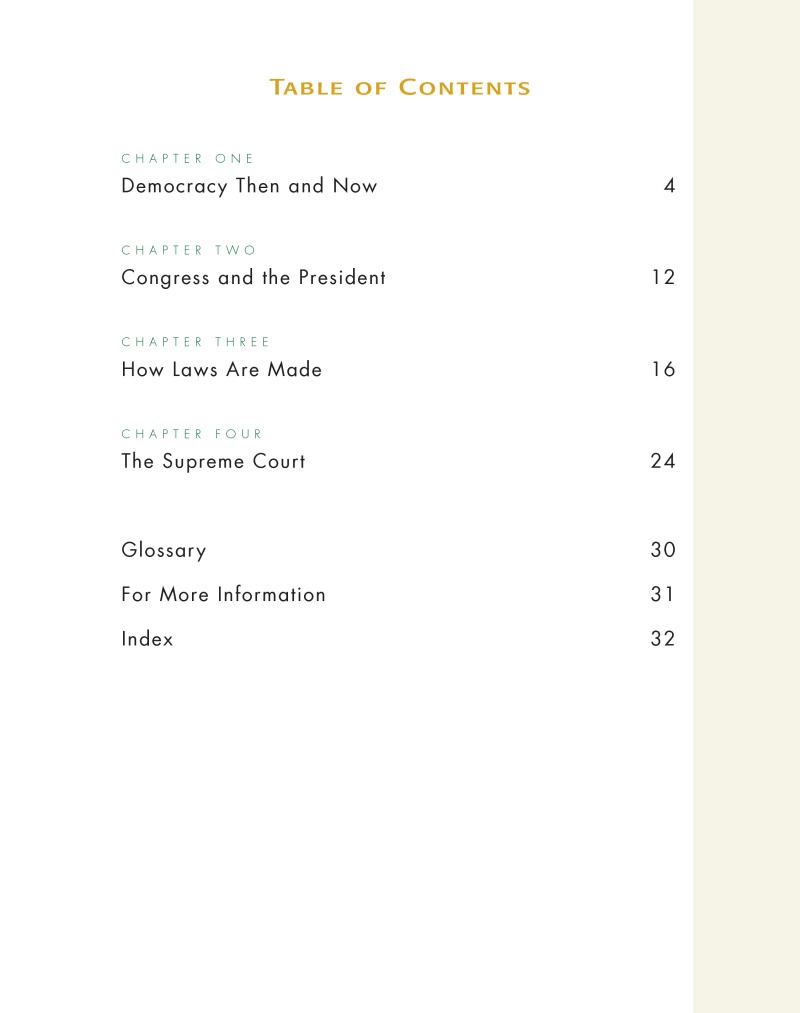 Citizens And Their Governments: Democracy At Work book cover