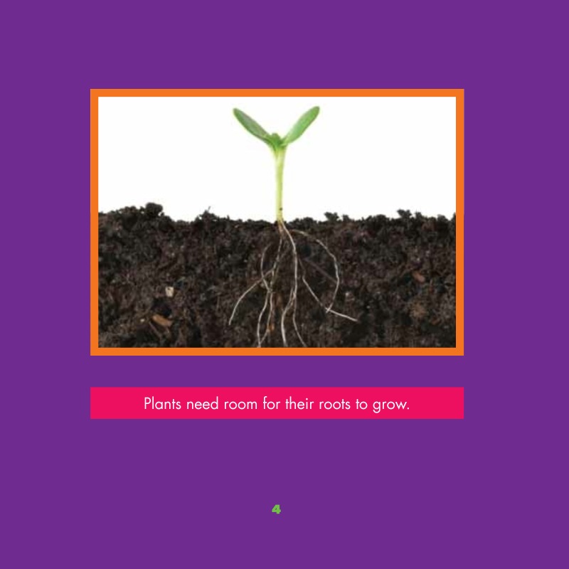 Growing New Plants — page 1