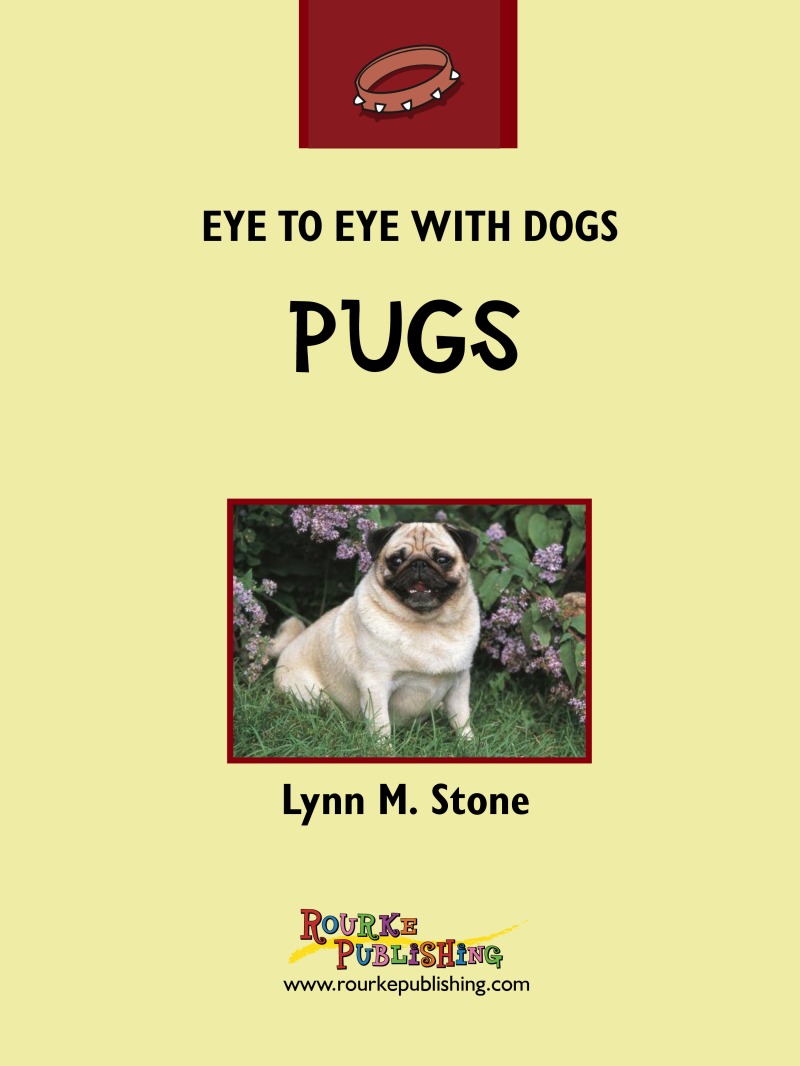 Eye To Eye With Dogs: Pugs book cover