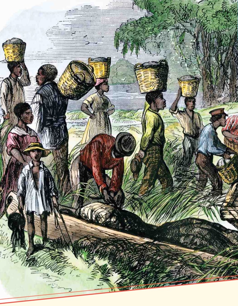 African-American Culture — page 1