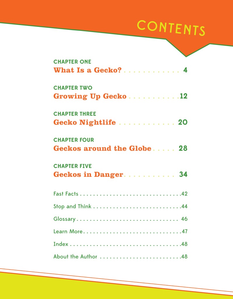 Amazing Reptiles: Geckos book cover