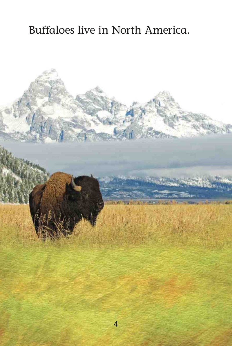 Magic Readers: Buffaloes on the Prairie — page 1