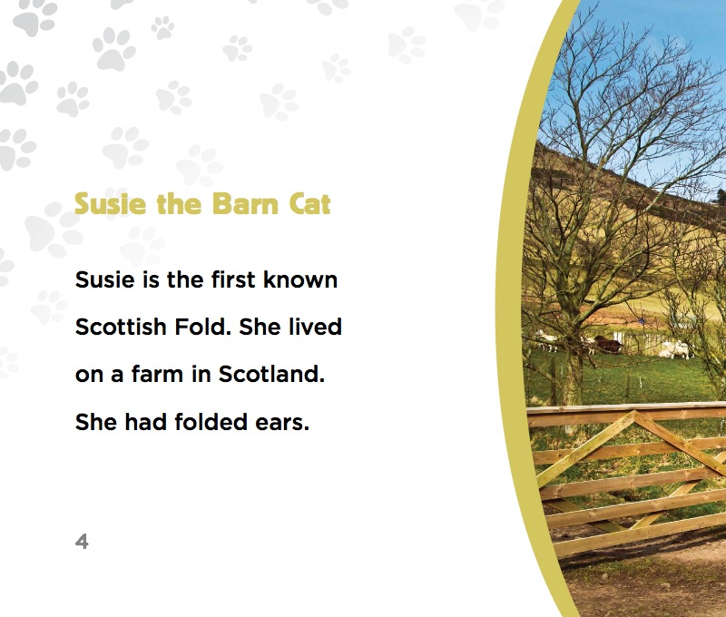 Scottish Fold Cats — page 1