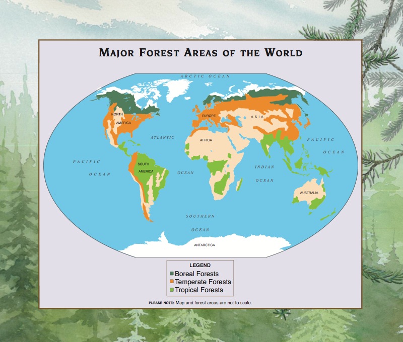 About Habitats: Forests — page 1