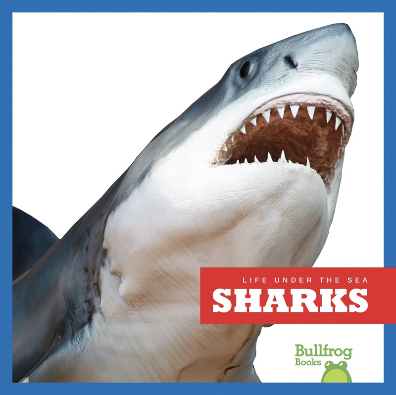 Life Under The Sea: Sharks book cover