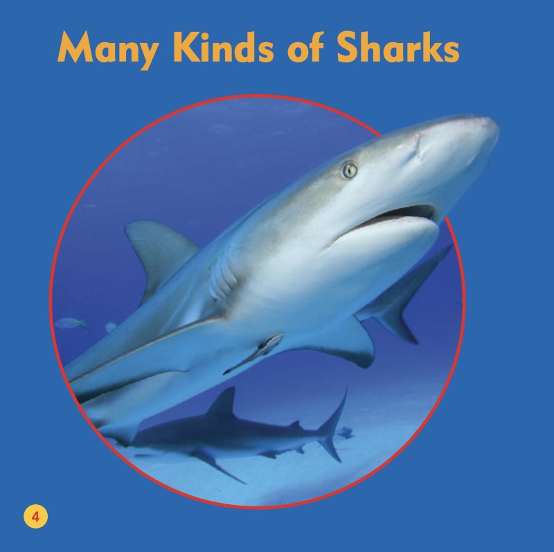 Life Under The Sea: Sharks — page 1