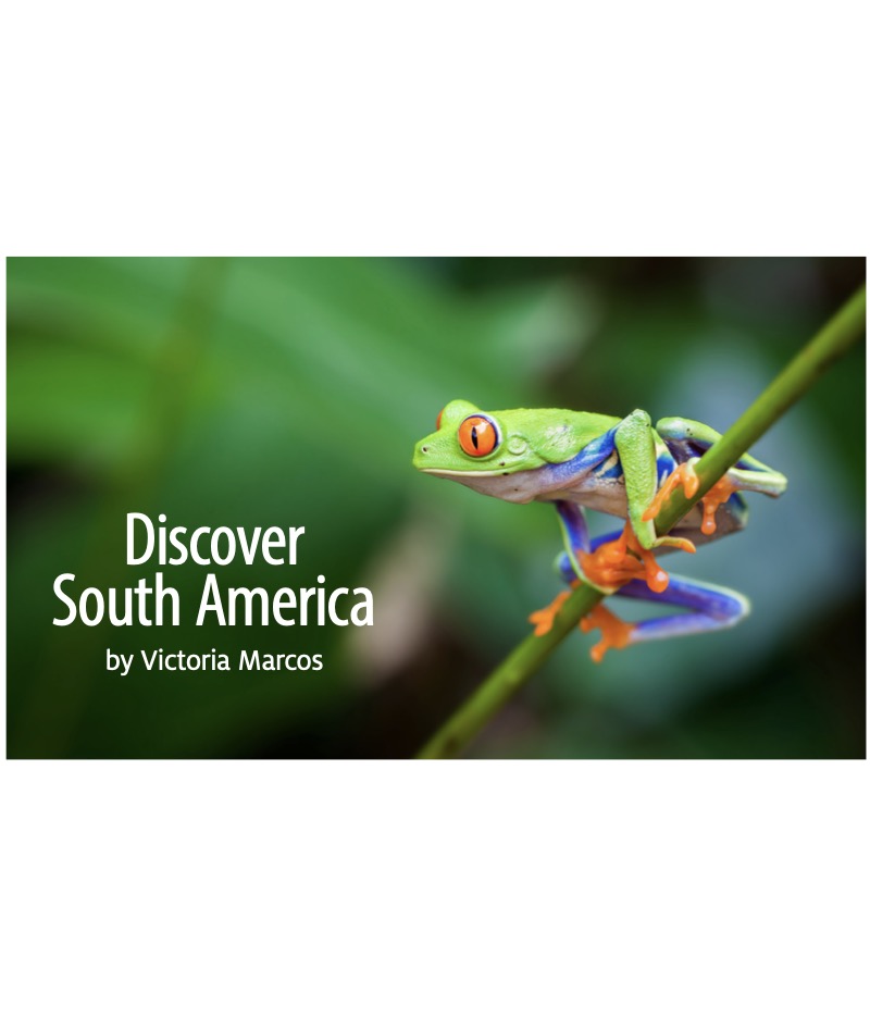 Discover South America book cover
