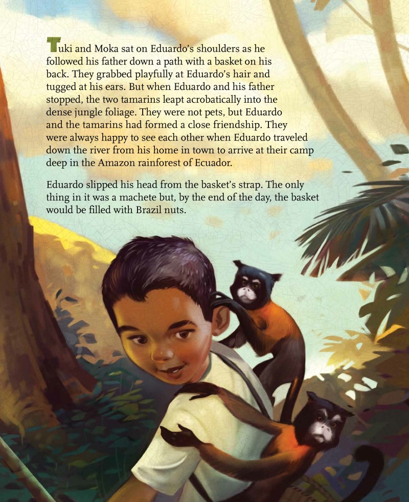 Tuki and Moka: A Tale of Two Tamarins book cover