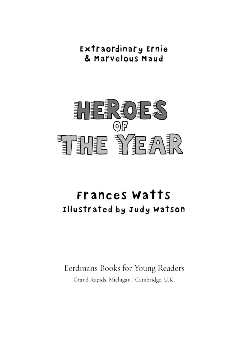 Heroes of the Year book cover