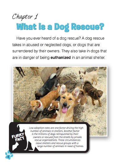 Rescue And Shelter Dogs — page 1