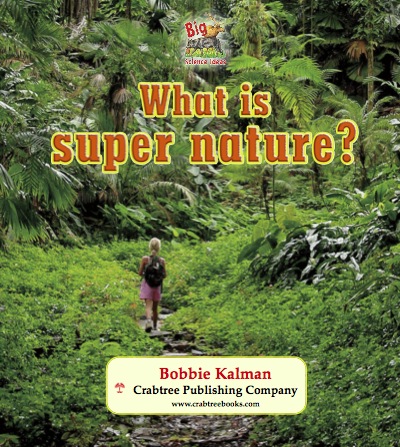 What Is Super Nature? book cover