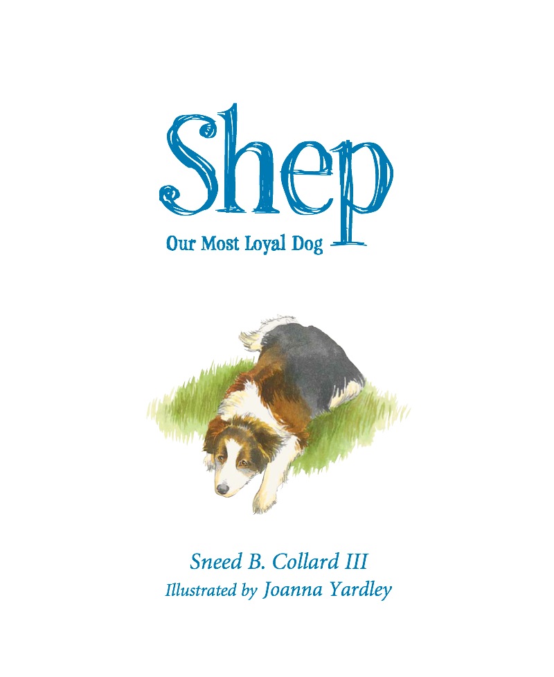 Shep: Our Most Loyal Dog book cover
