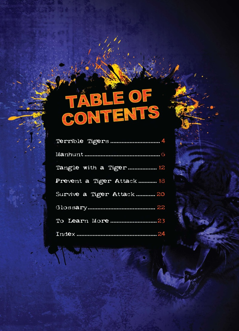 Tiger Attack book cover