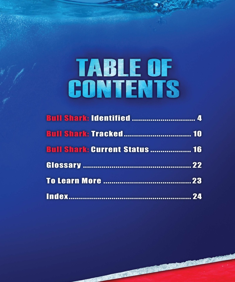 Shark Fact Files: The Bull Shark book cover