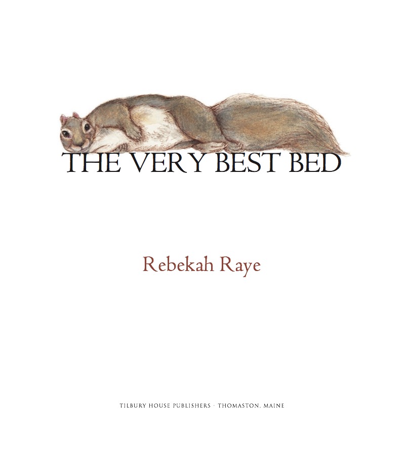 The Very Best Bed book cover