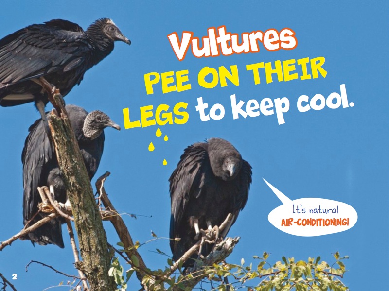 Totally Wacky Facts About Land Animals — page 1