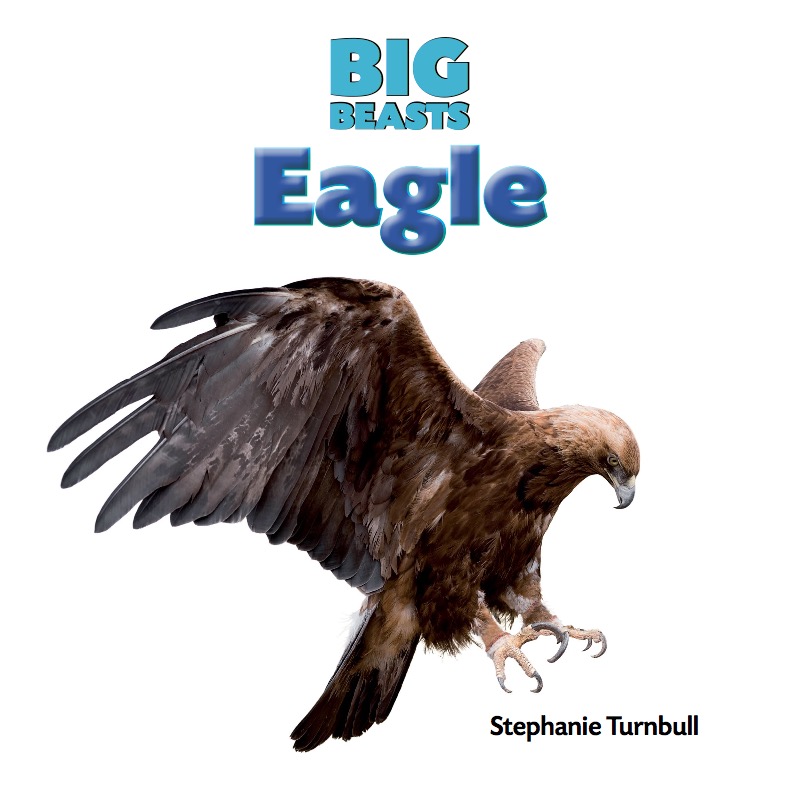 Eagle book cover