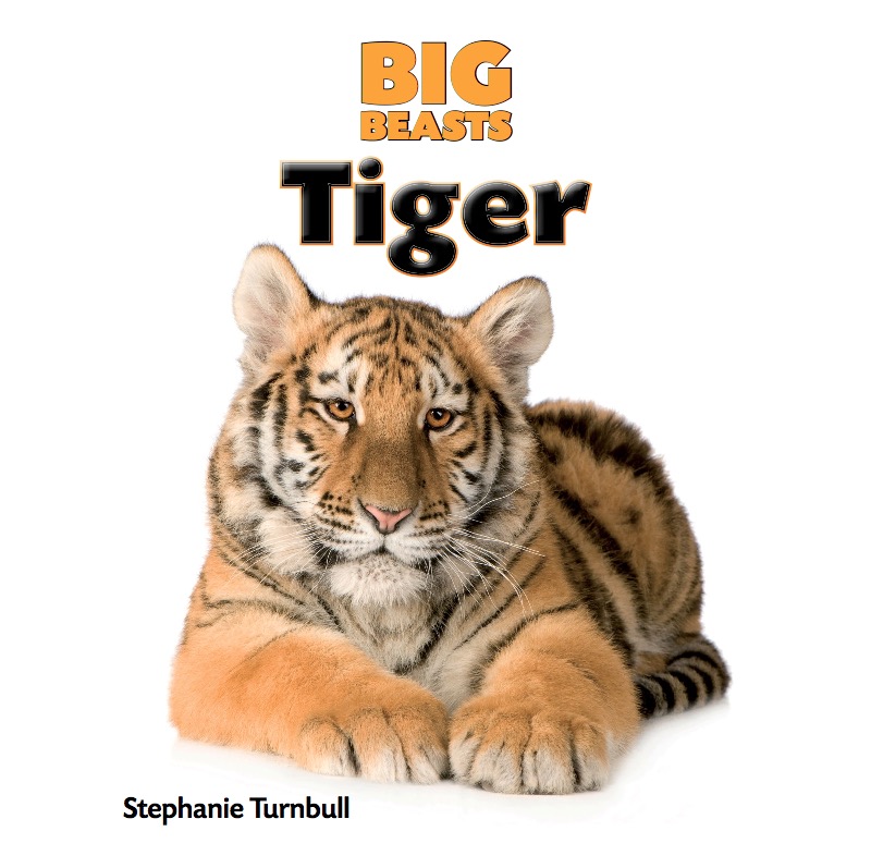 Tiger book cover