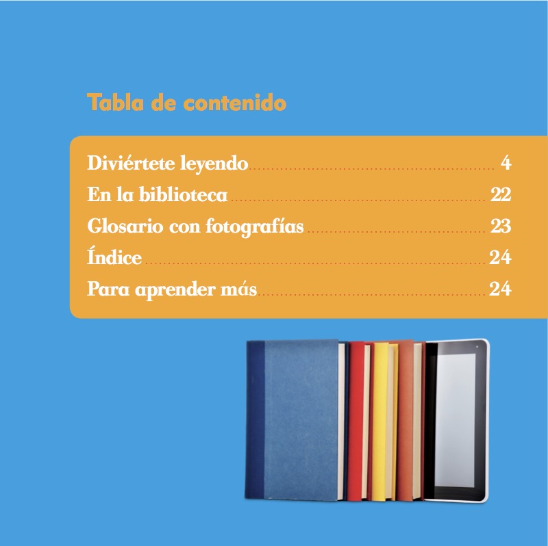 La biblioteca pública (Public Library) book cover