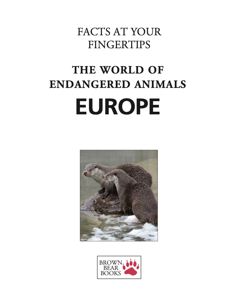 Europe book cover