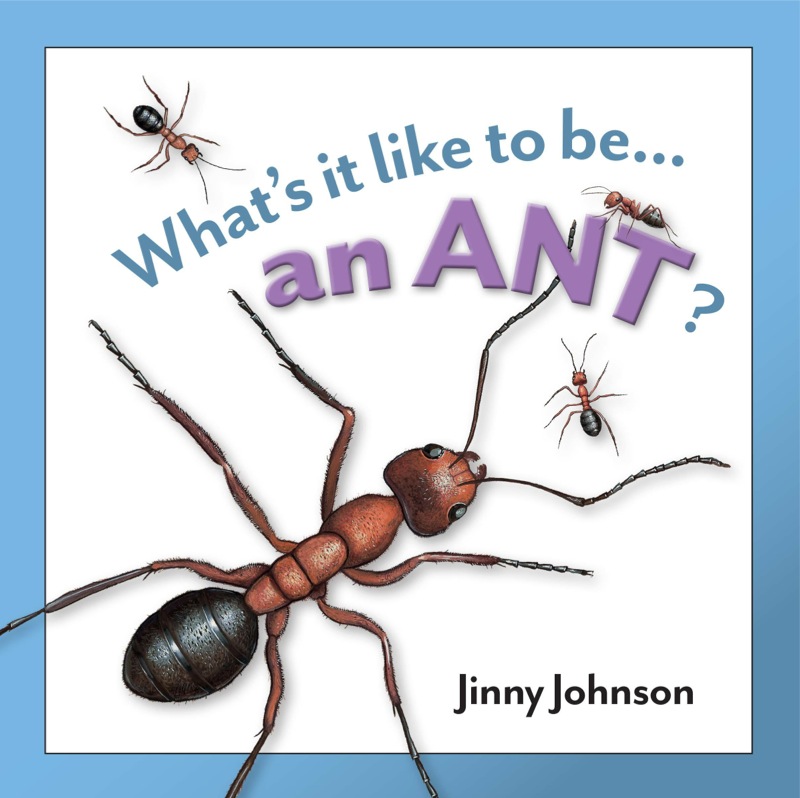 What's It Like To Be An Ant? book cover