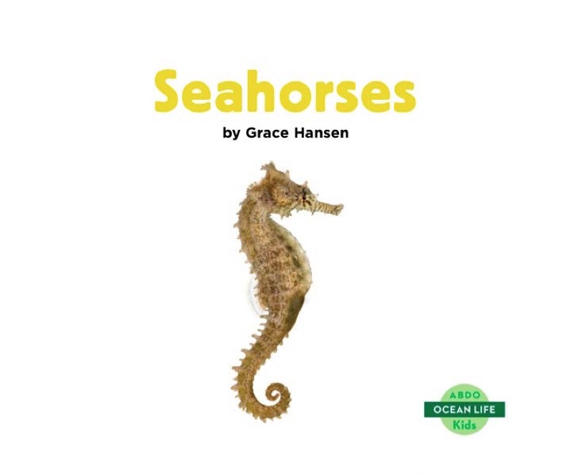Seahorses book cover
