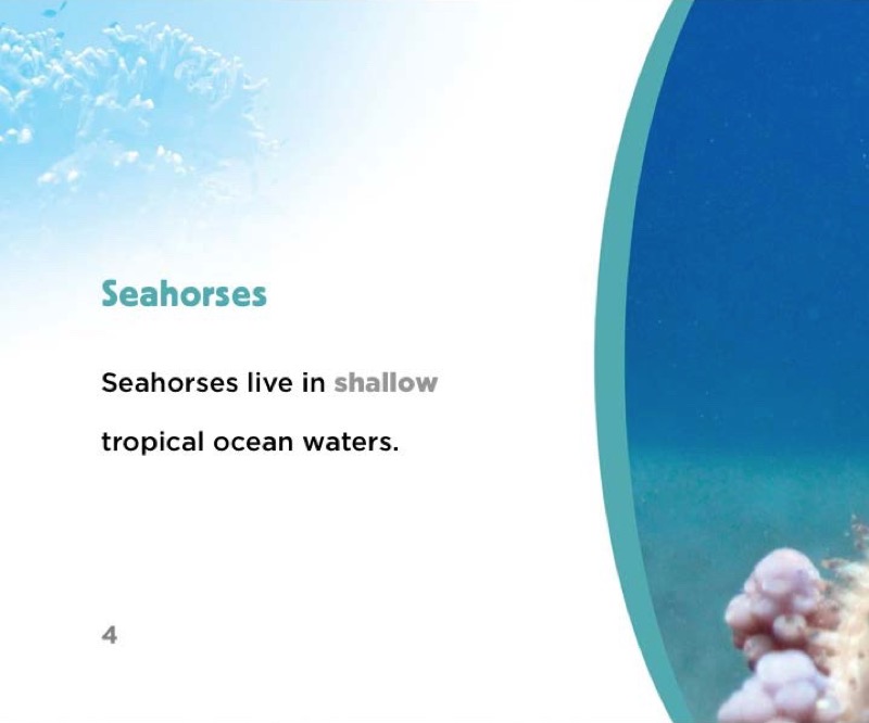 Seahorses — page 1