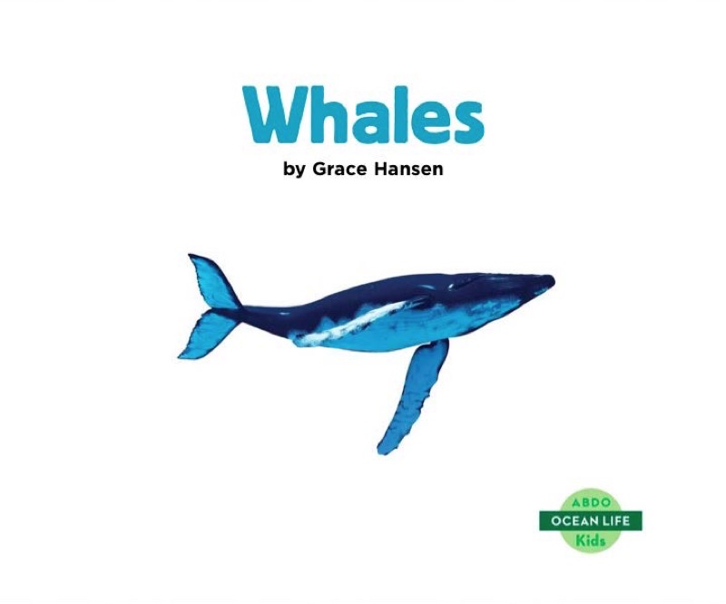 Whales book cover
