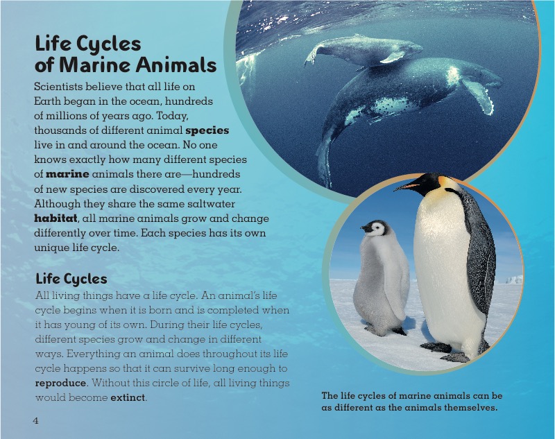 Humpback Whales — page 1