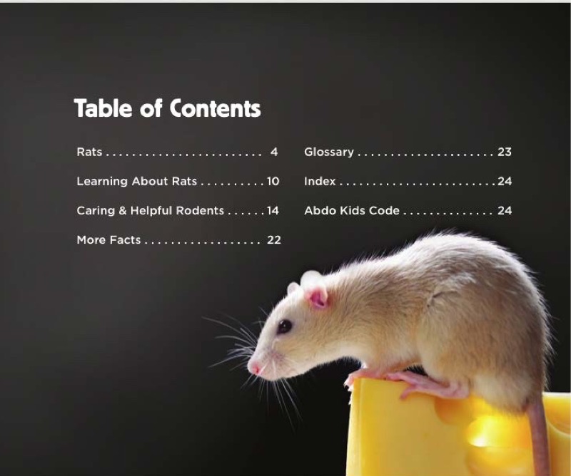 Rats book cover