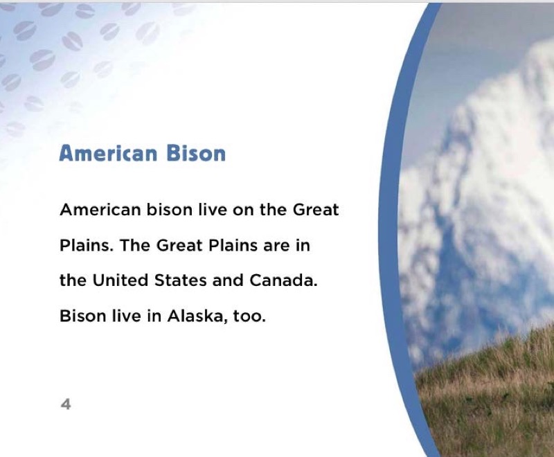American Bison — page 1