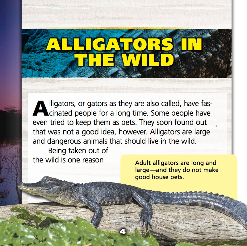 Saving the Endangered American Alligator — page 1