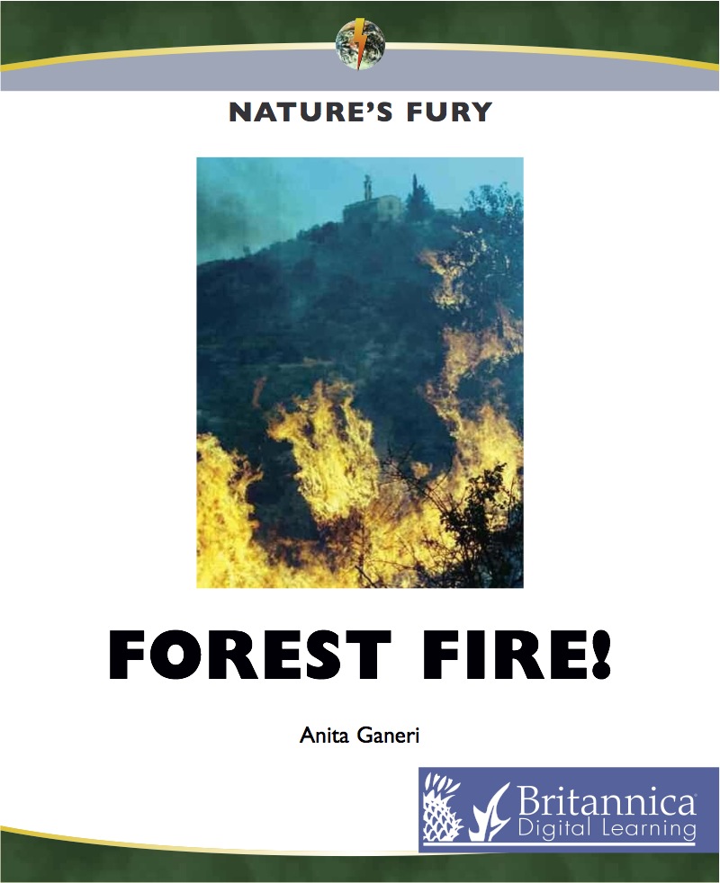 Forest Fire! book cover