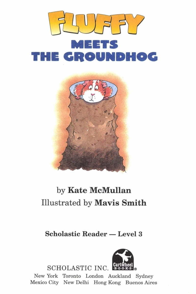 Fluffy Meets The Groundhog book cover