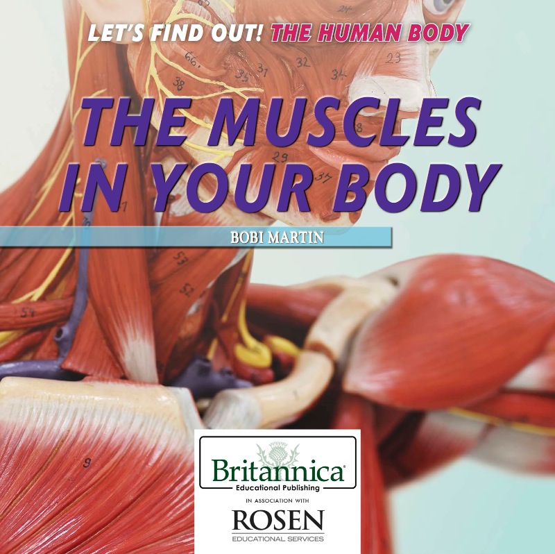 The Muscles in Your Body book cover