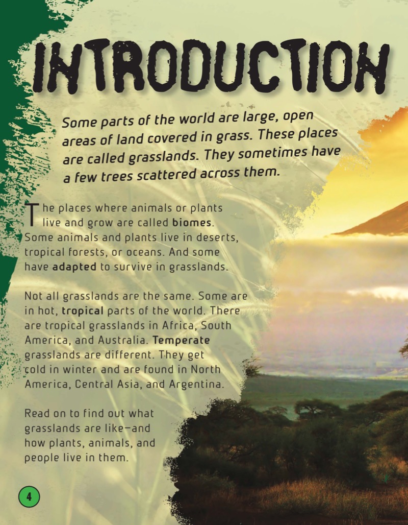 Grasslands — page 1