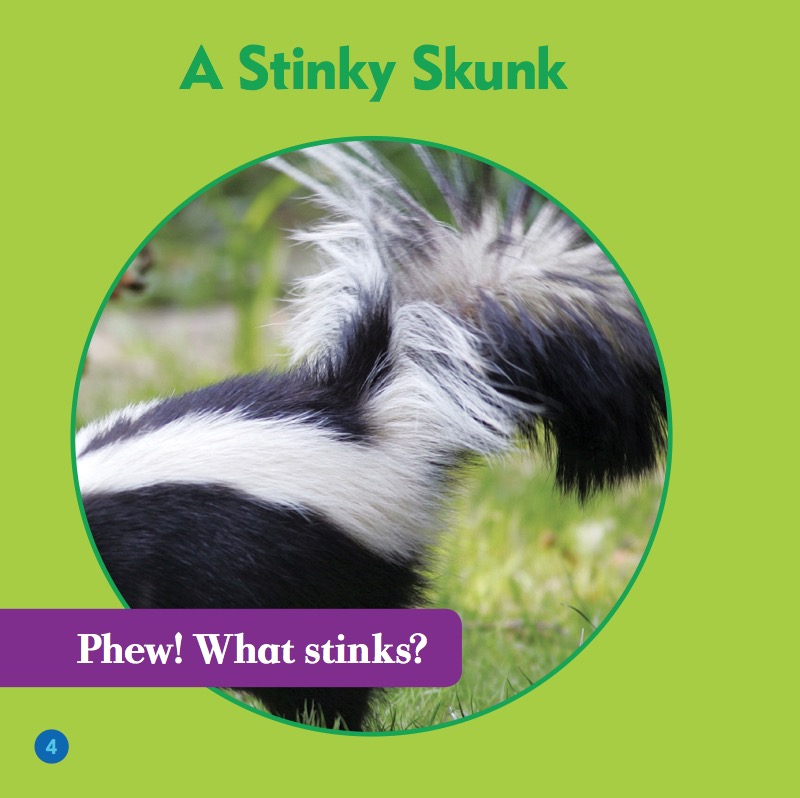 My First Animal Library: Skunks — page 1